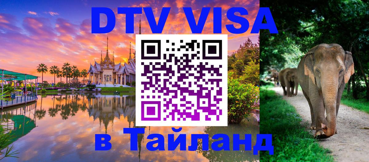 Оформление DTV визы под ключ: стоимость и тарифы, только загранпаспорт - 08.01.2026 